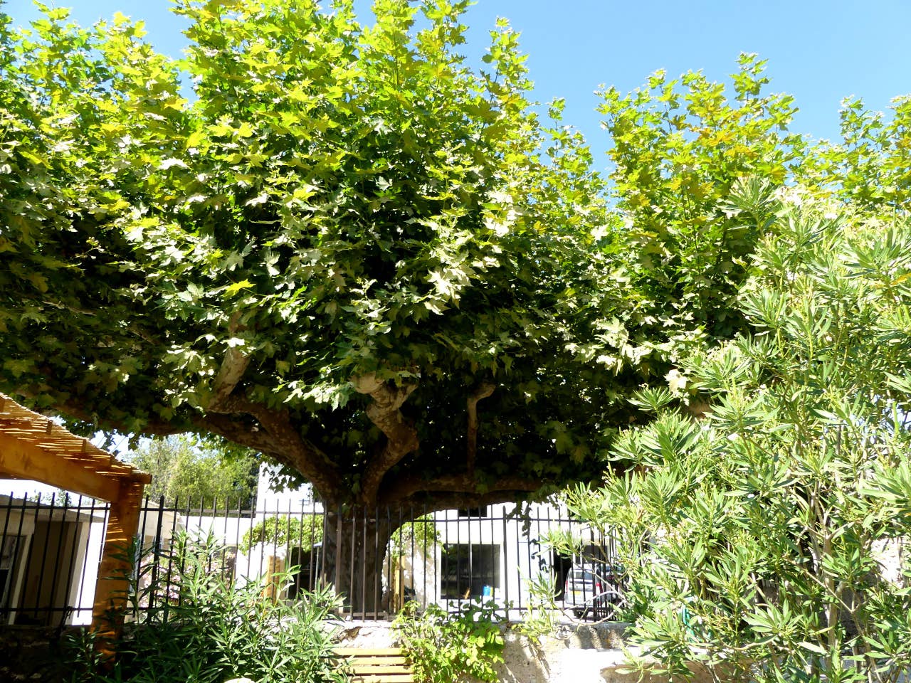 Gite de la ferme de Marguerite - Extérieur